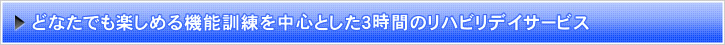 どなたでも楽しめる機能訓練を中心とした3時間のリハビリデイサービス